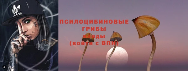спайс Баксан